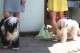 Thumbs/tn_Bild-01 001.jpg